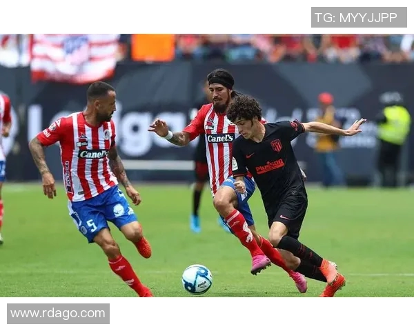 佐加顿斯精彩对决直播全程回顾与赛后分析